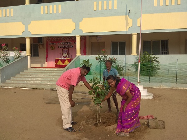 Saplings planted on Founder's day