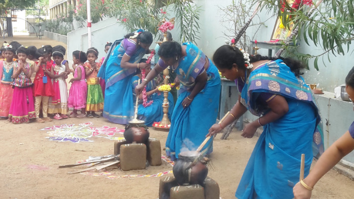 Pongal celebration was held on 12.01.2019